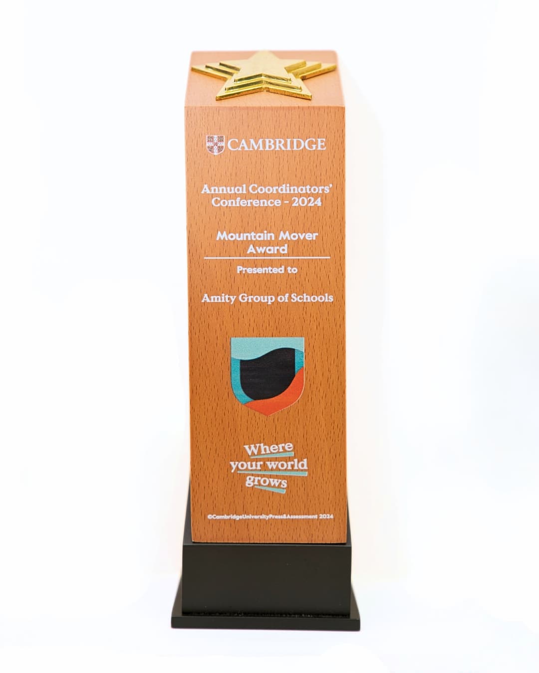 Continuous Excellence Award