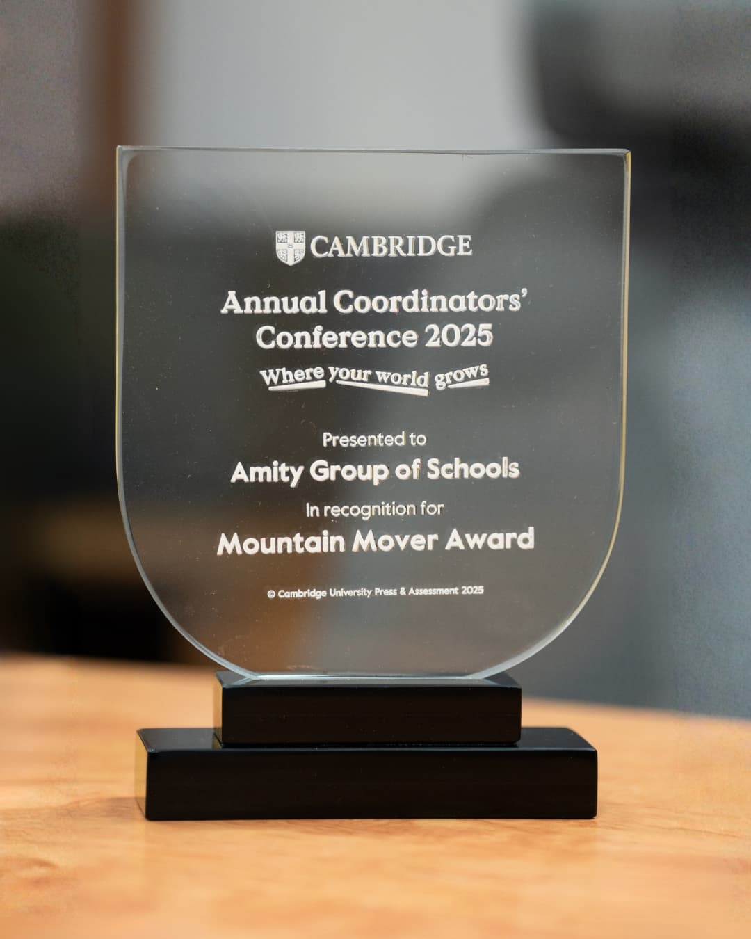 Mountain Movers Award 2025