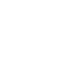 Experienced & Dynamic Faculty